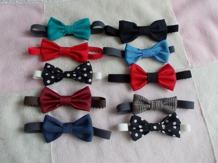 DSCN2486 - m-am pus pe treaba