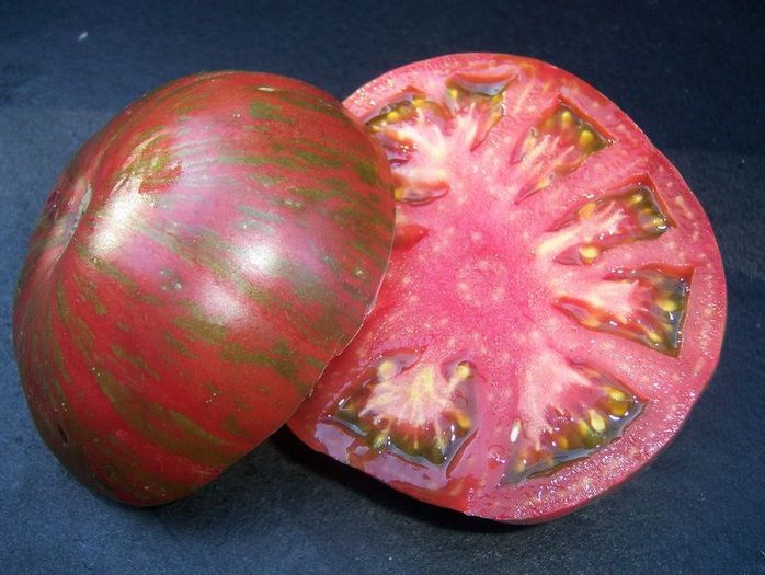 berkley - ROSII seminte