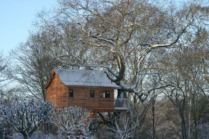lives-in-the-tree-house