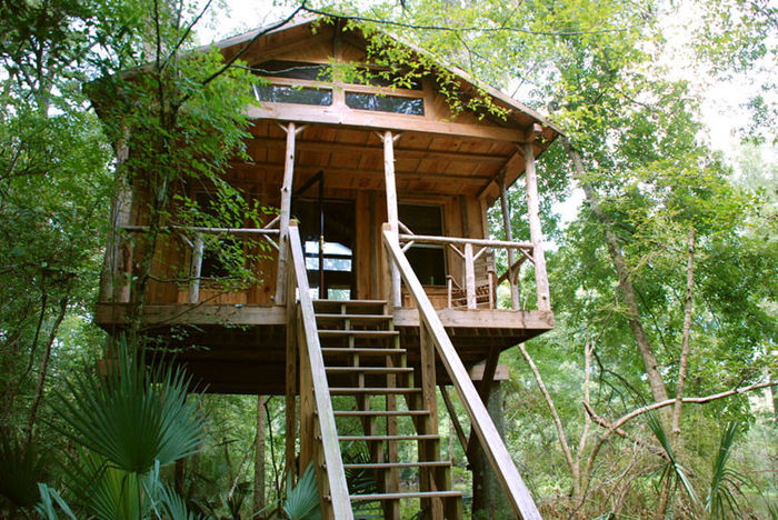 medium-tree-house