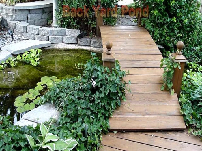 Microdac-BackYardPond545.mp4