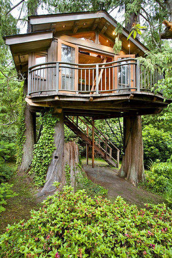 The-Most-Beautiful-Tree-House-in-The-World