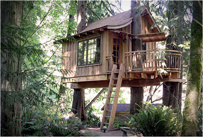 tree-house-point-5