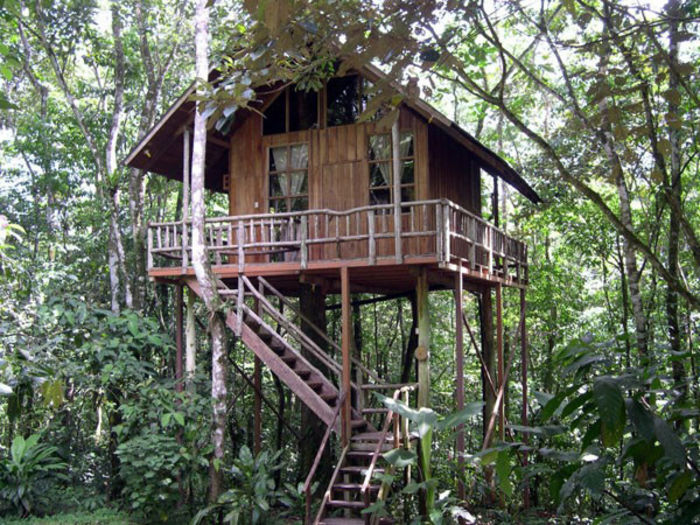 Tree-Houses - Idei Interesante