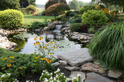 water-garden-ponds.s600x600