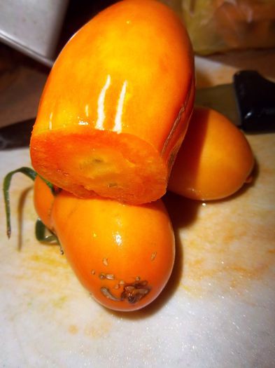 orange icicle - ROSII seminte