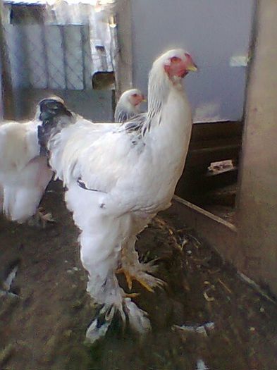 Fotogr.0791
