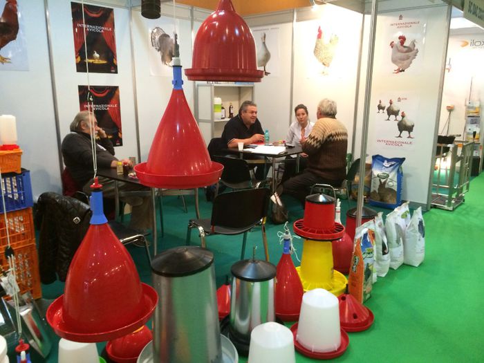 image - INDAGRA 2013
