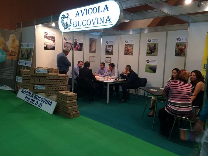 image - INDAGRA 2013