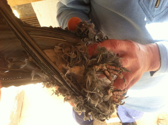 Picture 232 - 1850 Jozsef Balazs