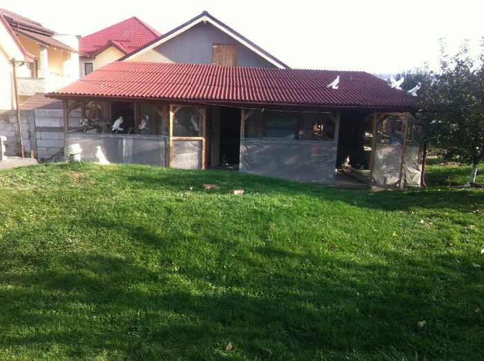 Picture 136 - Adi Oltean 2