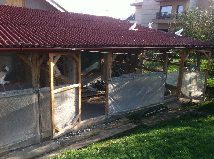 Picture 138 - Adi Oltean 2