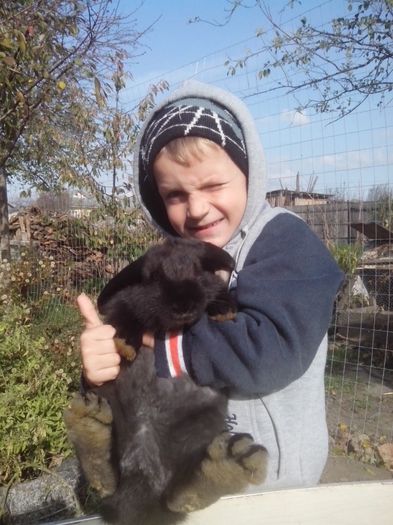 femela 2,5 luni; berbec german
