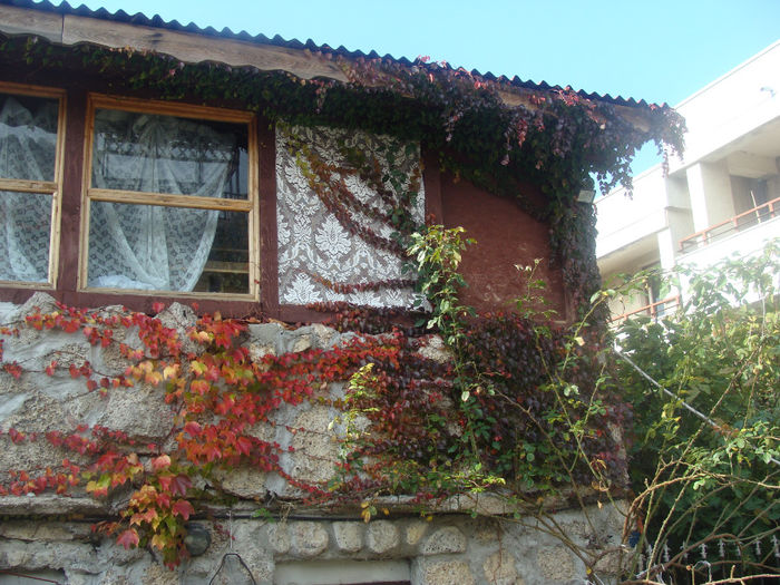 DSC01612 - CETATUIA_SEPTEMBRIE_2013
