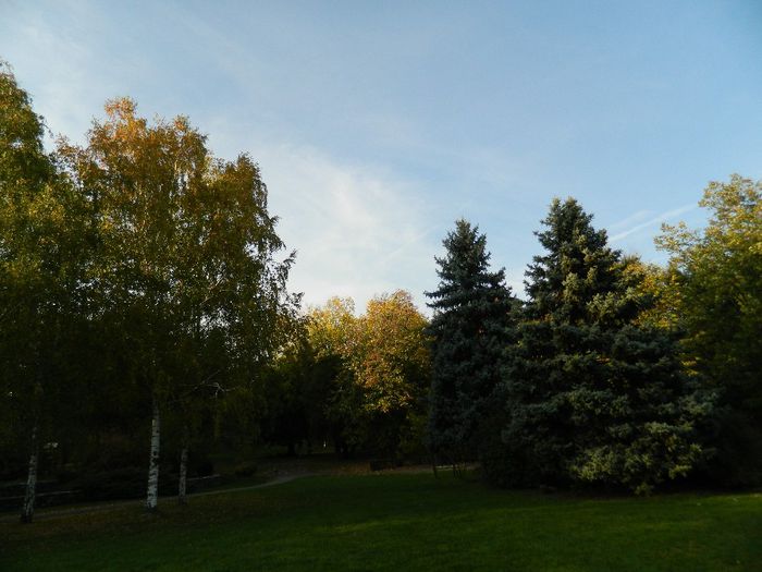 DSCN5821