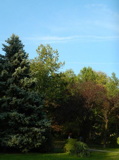 DSCN5823