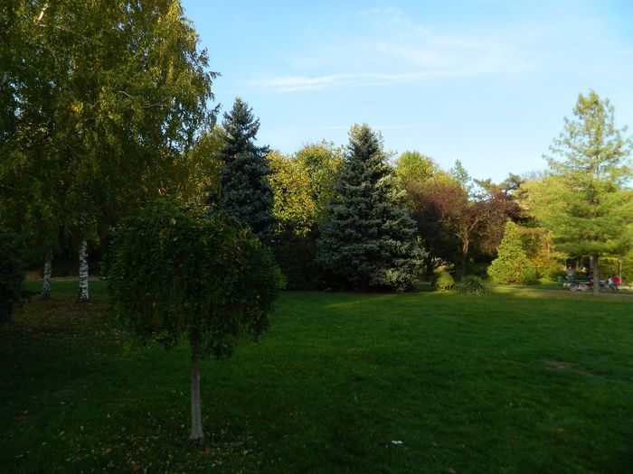 DSCN5827