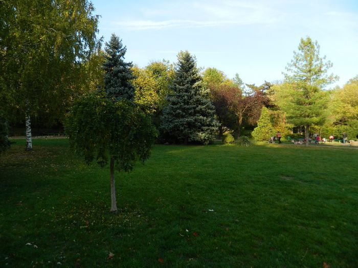 DSCN5829