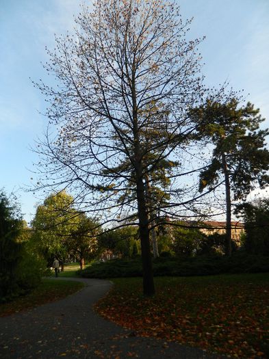 DSCN5833