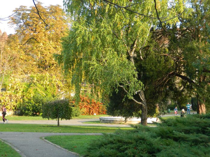 DSCN5846 - TIMISOARA PARCUL BOTANIC