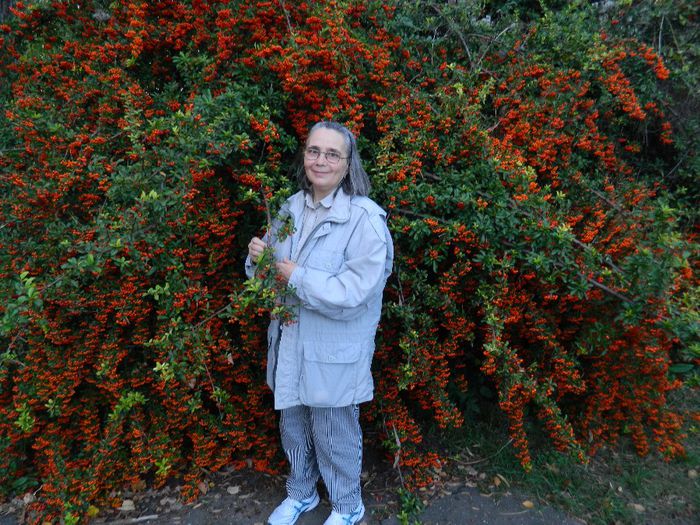 DSCN5859 - TIMISOARA PARCUL BOTANIC