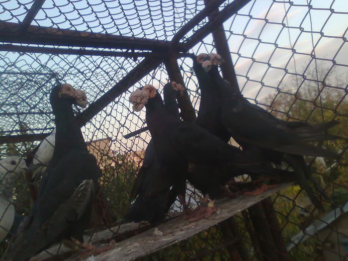 Imagine1763 - Carieri