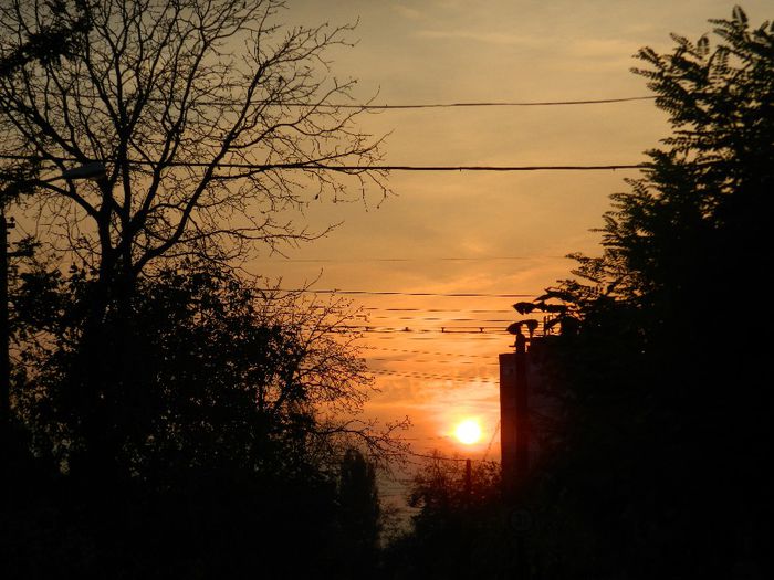 DSCN6886