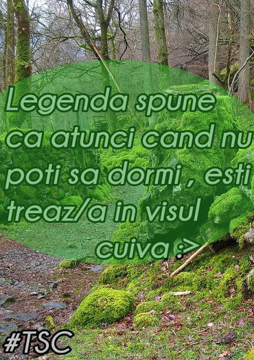 15080_358911854205932_951597073_n