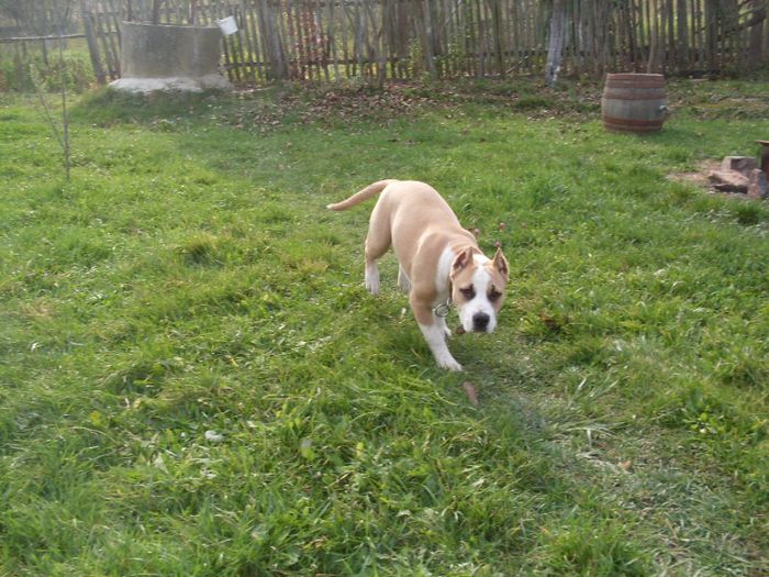 TASHA 5 luni SI O SAPTAMANA