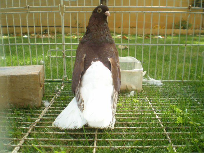P1010395