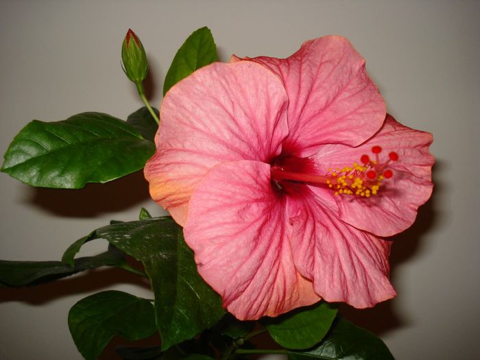 DSC05852