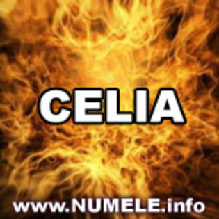 046-CELIA avatare cu orice nume - y__Avatare cu numele Celia