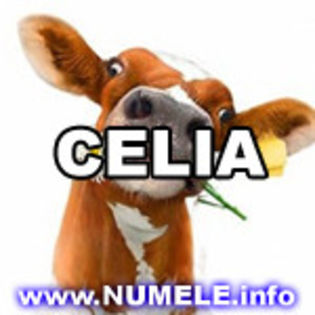 046-CELIA avatare cool - y__Avatare cu numele Celia