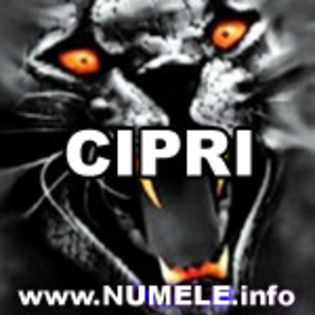 047-CIPRI avatare nume baieti - y__Avatare cu numele Cipri