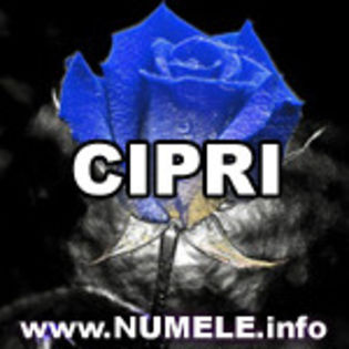 047-CIPRI imagini cu nume - y__Avatare cu numele Cipri
