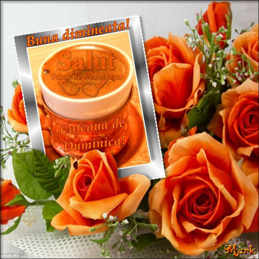 cafeaua de dimineata - CAFEAUA DE DIMINEATA