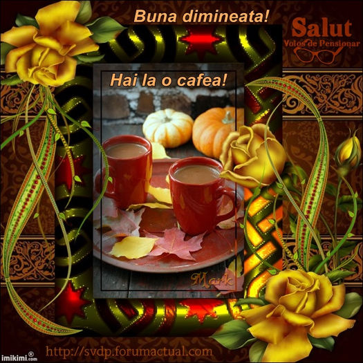 cafeaua de dimineata - CAFEAUA DE DIMINEATA