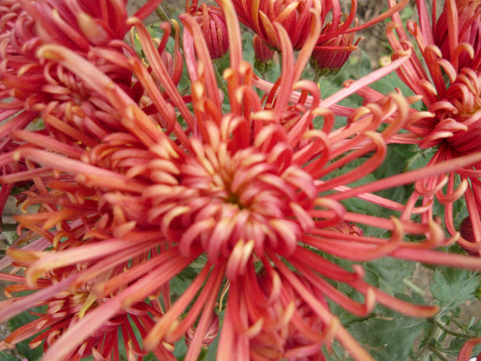 P1050393