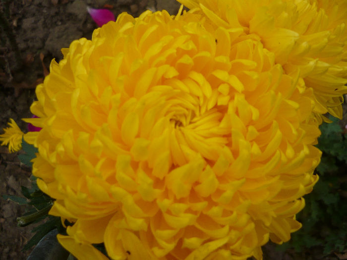 P1050400