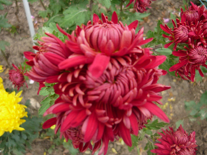 P1050395