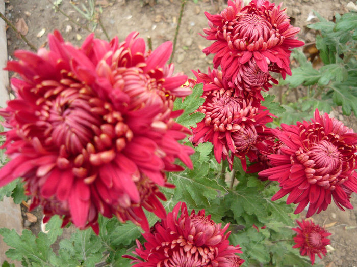 P1050396