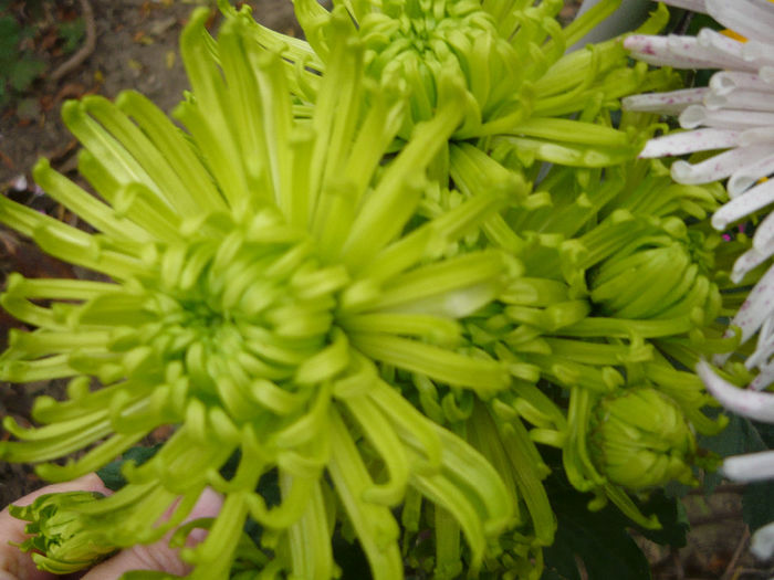 P1050402