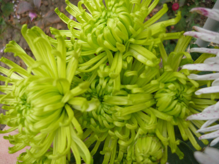 P1050403