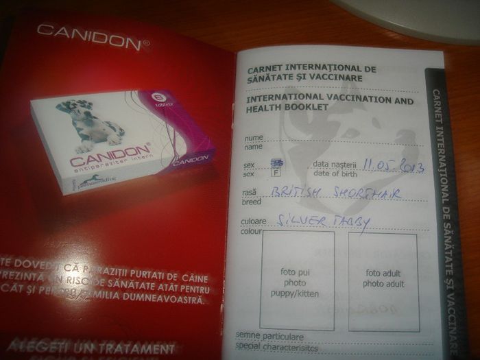poze de verificat 044 - expomil 2013