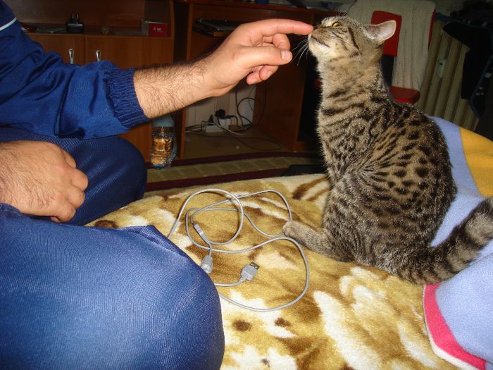 poze de verificat 048