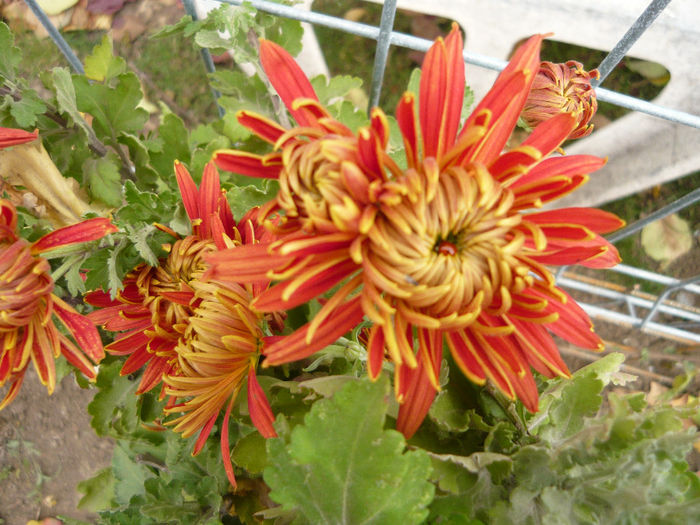 P1050408