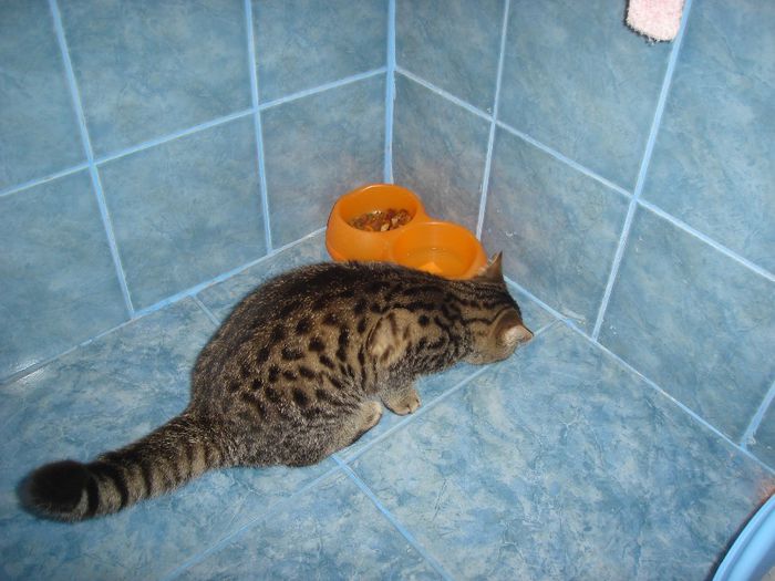 poze de verificat 050