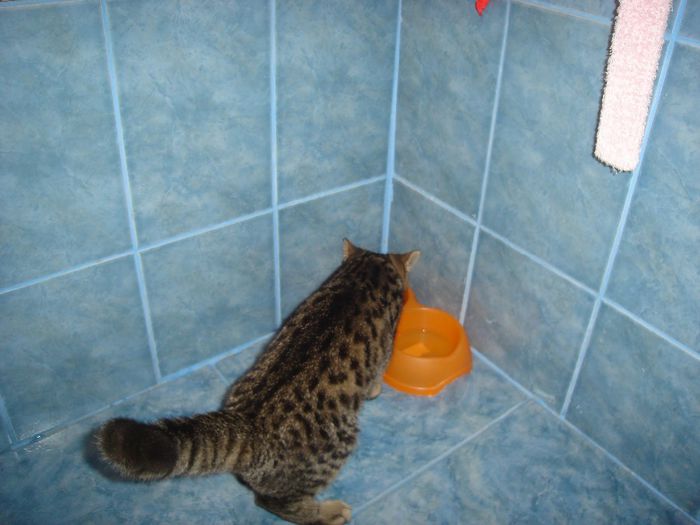 poze de verificat 051