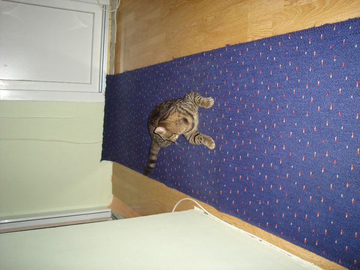 poze de verificat 058