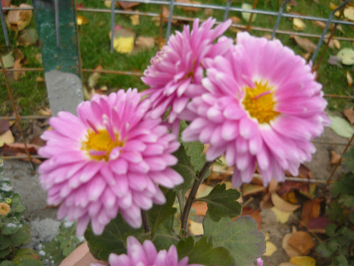P1050421